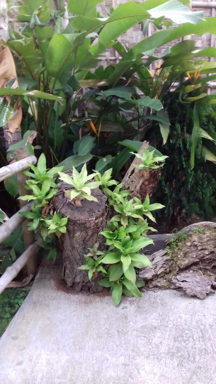 Dimāpur Longchen Homestay מראה חיצוני תמונה