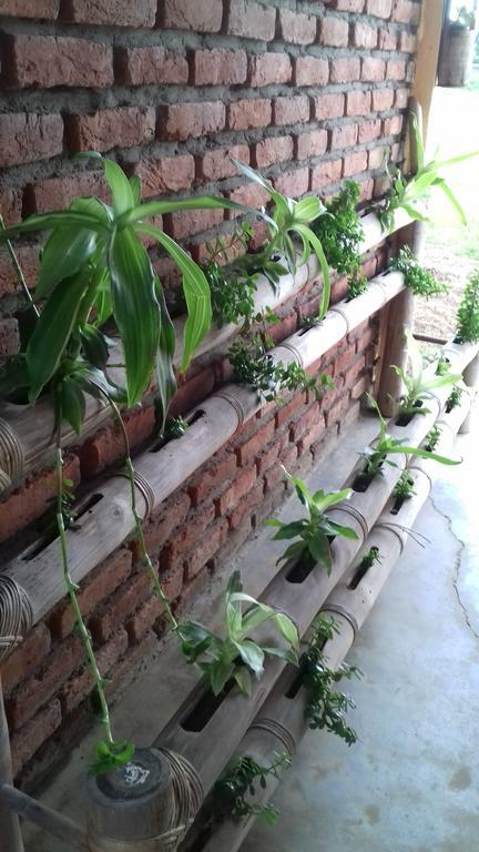 Dimāpur Longchen Homestay מראה חיצוני תמונה